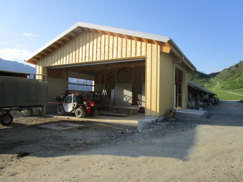 Neubau MFH + EFH, Lenzerheide